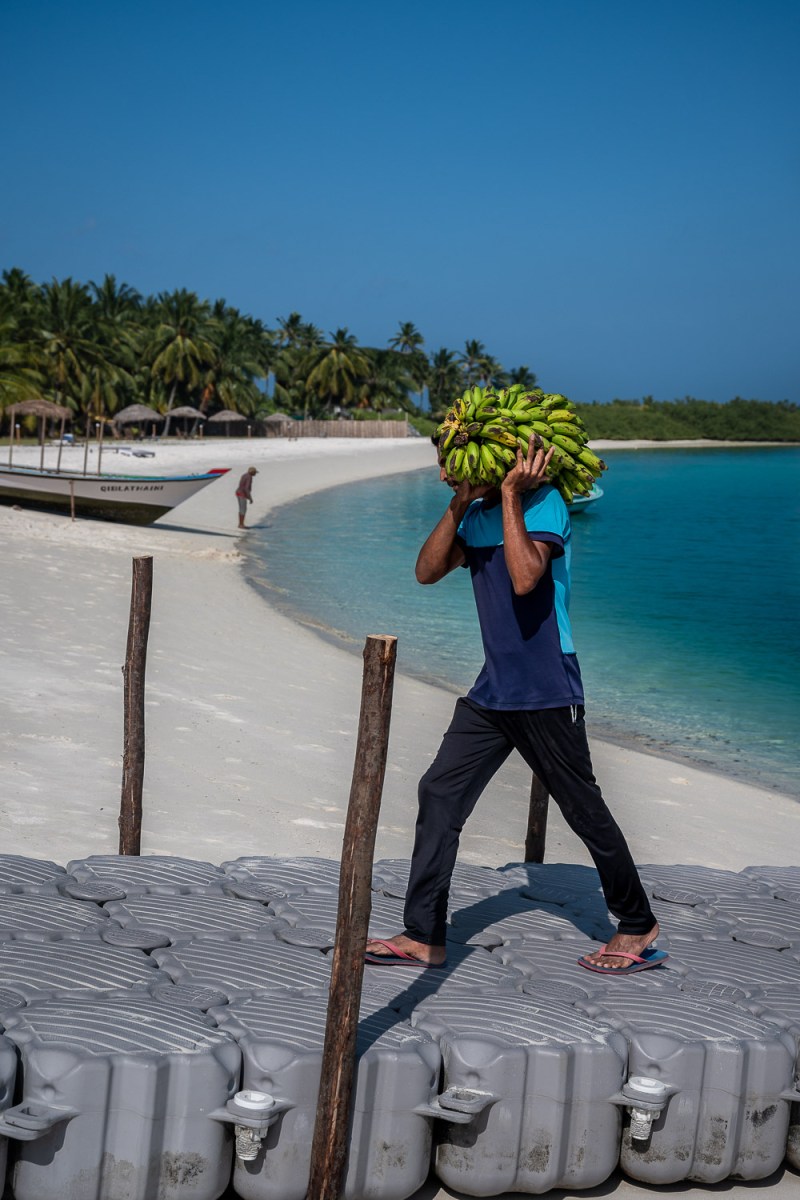 Banana delivery, Bangaram, Lakshadweep, India.
