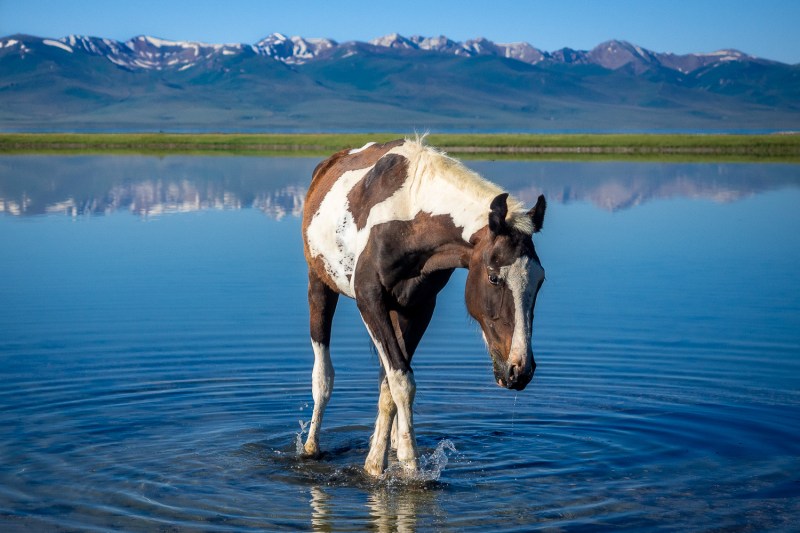 Kyrgyzstan – A nomadic living at Song-Kul&nbsp;Lake