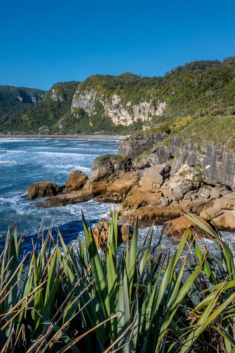Rocky shoreline, West Coast, New Zealand.