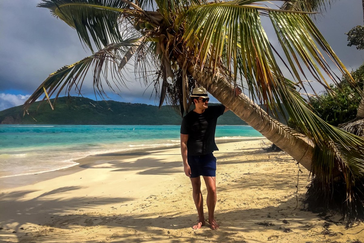 Palm trees at Playa Flamenco, Culebra, Puerto Rico.