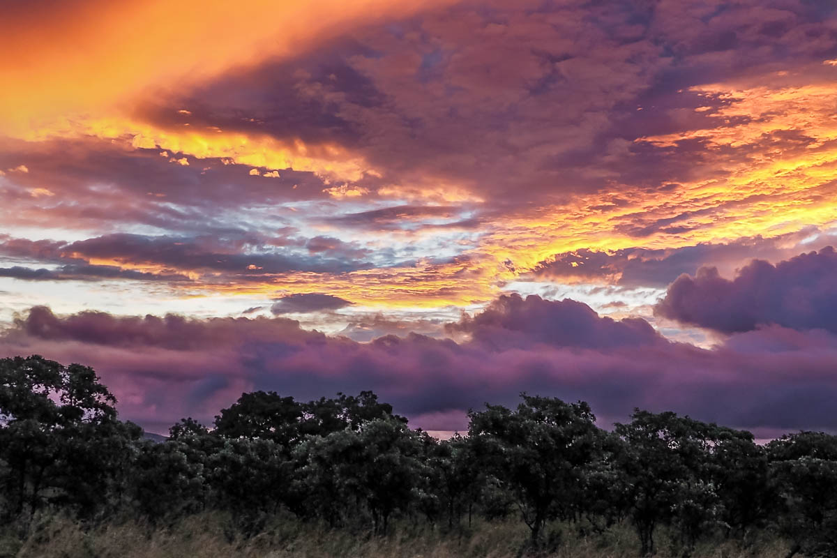 Travelgrapher.com-Inspire-South-Africa-Kruger-Park-Safari-Sunset