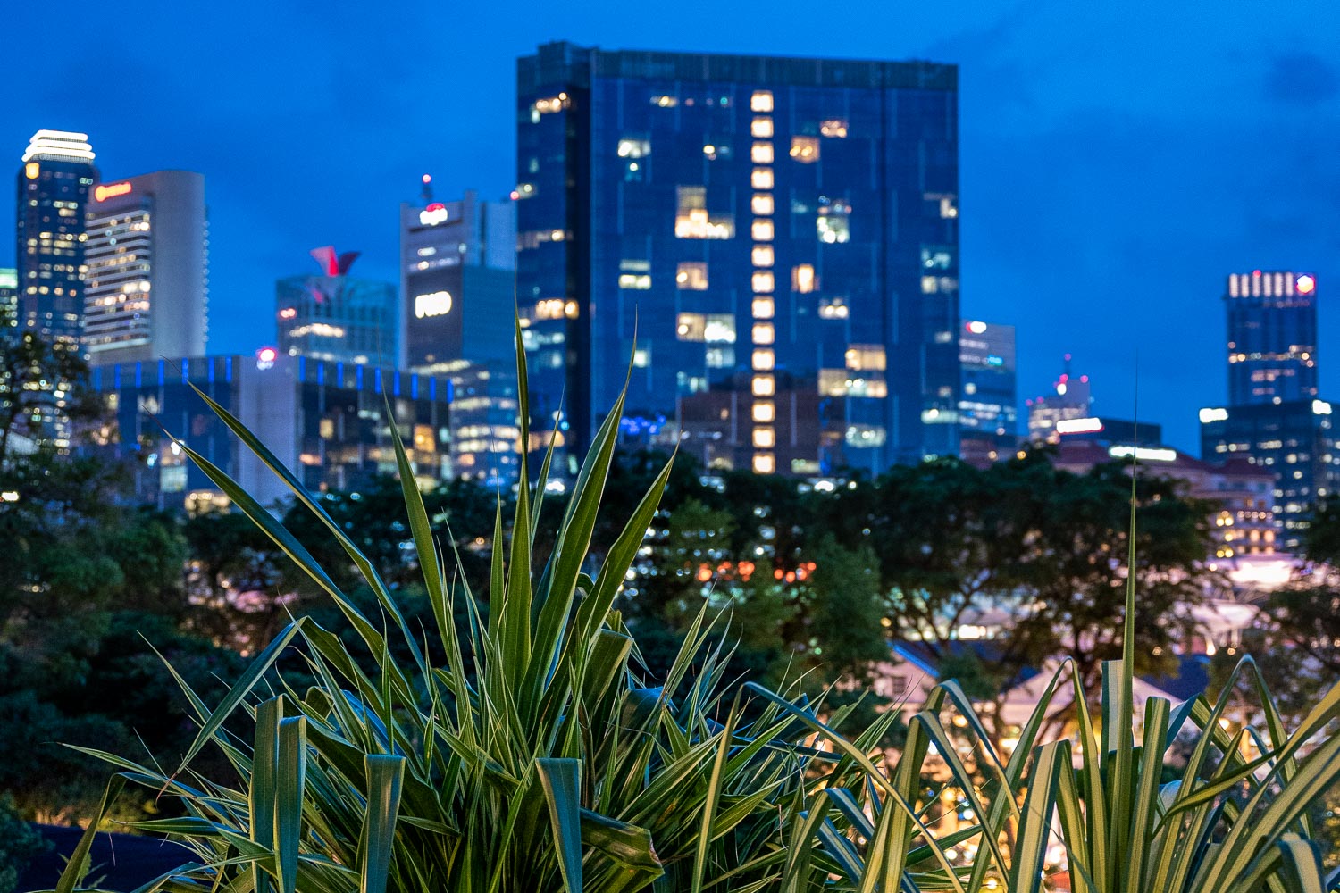 Travelgrapher.com-Inspire-Singapore-Fort-Canning-Park-City-View